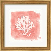 Framed Water Coral Cove III