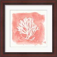 Framed 'Water Coral Cove III' border=