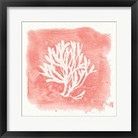 Framed 'Water Coral Cove III' border=