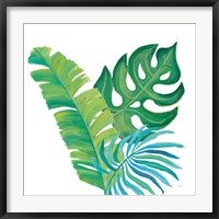 Framed Coconut Palm VII