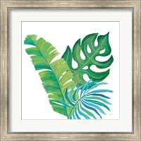 Framed Coconut Palm VII