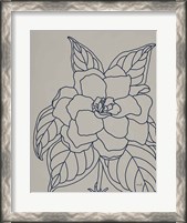 Framed Gardenia Line Drawing Gray Crop