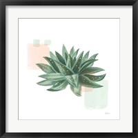 Framed Desert Color Succulent II Mint