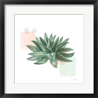 Framed Desert Color Succulent II Mint