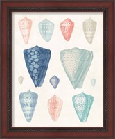 Framed 'Colorful Shell Assortment II Coral Cove' border=