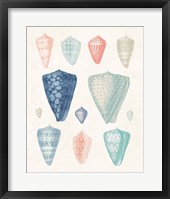 Framed Colorful Shell Assortment II Coral Cove