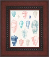 Framed 'Colorful Shell Assortment I Coral Cove' border=