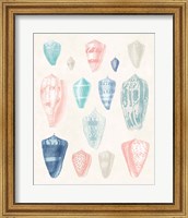 Framed 'Colorful Shell Assortment I Coral Cove' border=