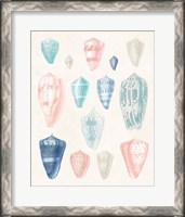 Framed Colorful Shell Assortment I Coral Cove