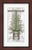 Framed Galvanized Pot Spruce