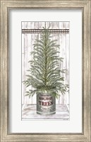 Framed Galvanized Pot Spruce