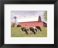 Framed Henderson Cows