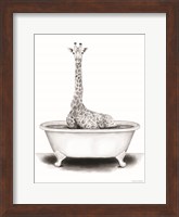 Framed Giraffe in Tub