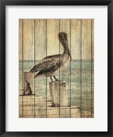 Framed Vintage Pelican I