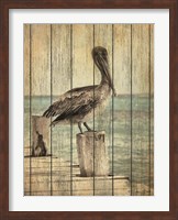 Framed Vintage Pelican I