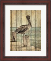 Framed Vintage Pelican I