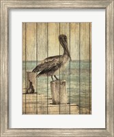 Framed Vintage Pelican I