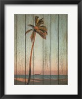 Framed Vintage Palm