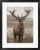 Framed Grand Elk 1