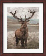 Framed Grand Elk 1