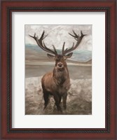Framed Grand Elk 1