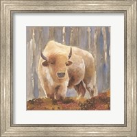 Framed White Buffalo