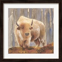 Framed White Buffalo