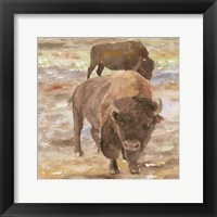 Framed Great Buffalo