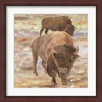 Framed Great Buffalo