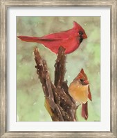 Framed Cardinal 1