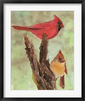 Framed Cardinal 1