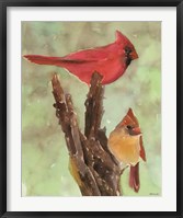 Framed Cardinal 1