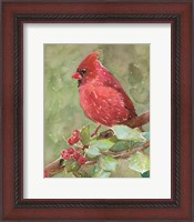 Framed Cardinal 2