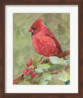 Framed Cardinal 2