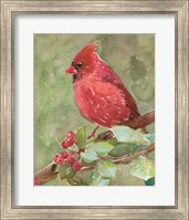 Framed Cardinal 2