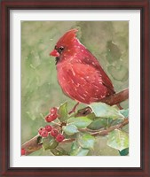 Framed Cardinal 2