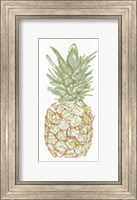 Framed Sketchy Pineapple 2
