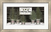 Framed Galvanized Pots Christmas Trees II