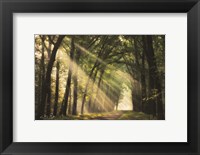 Framed Light of Lochem
