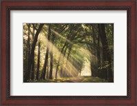 Framed Light of Lochem