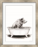 Framed Bear in Tub