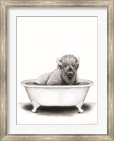 Framed Bison in Tub