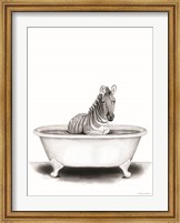 Framed Zebra in Tub