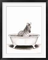 Framed Zebra in Tub