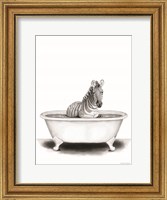 Framed Zebra in Tub