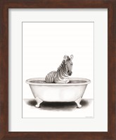 Framed Zebra in Tub