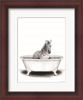 Framed Zebra in Tub