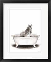 Zebra in Tub Framed Print