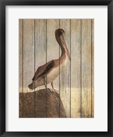 Framed Vintage Pelican II