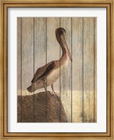 Framed Vintage Pelican II